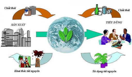 Ô nhiễm môi trường để lại hậu quả gì