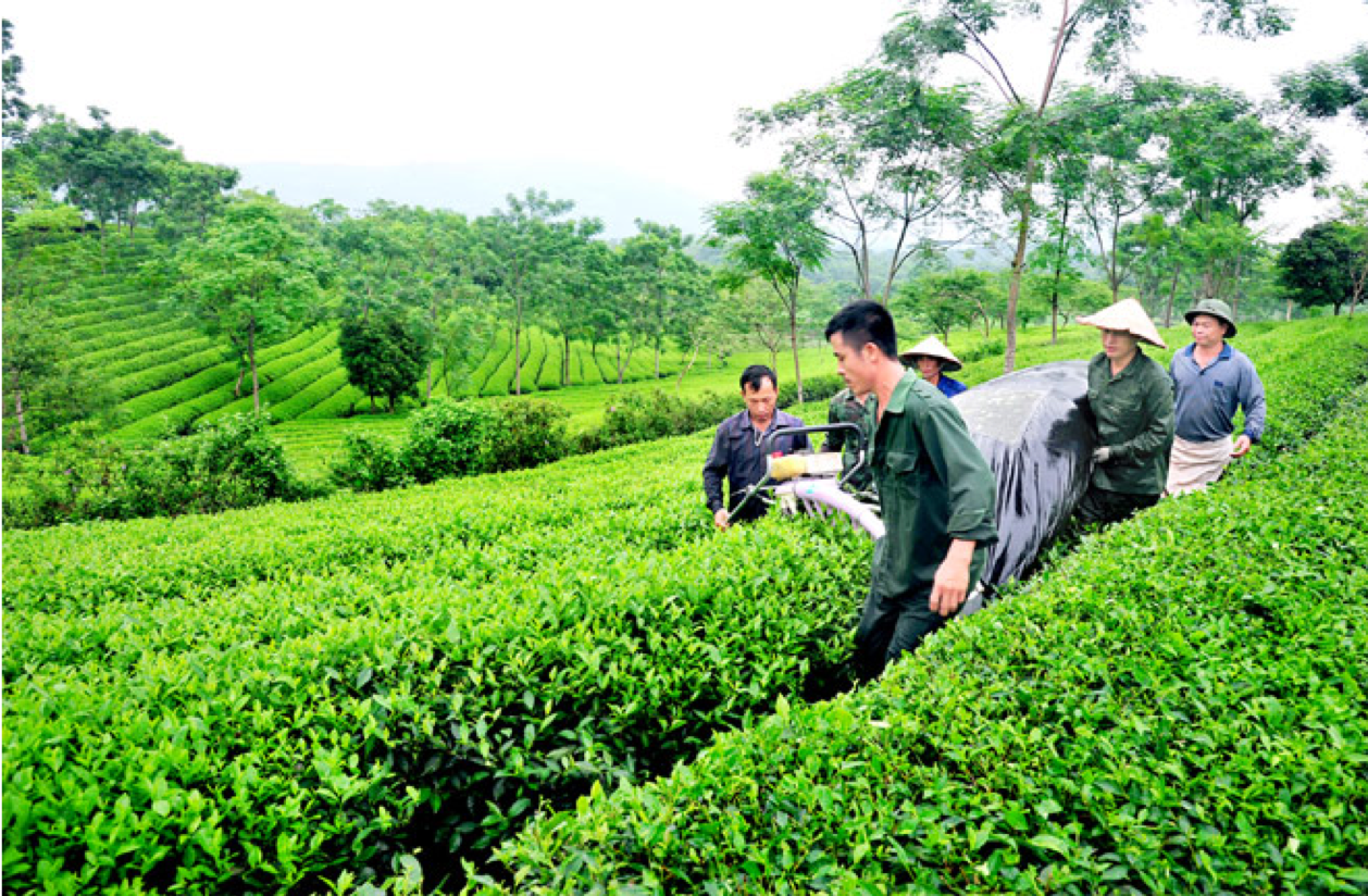 xây dựng nông nghiệp xanh tại Việt Nam